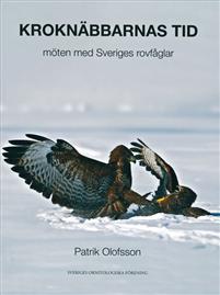 Kungsörn krok upp